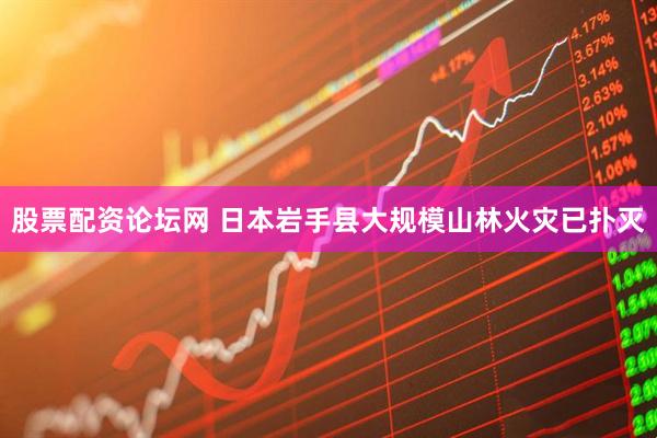 股票配资论坛网 日本岩手县大规模山林火灾已扑灭